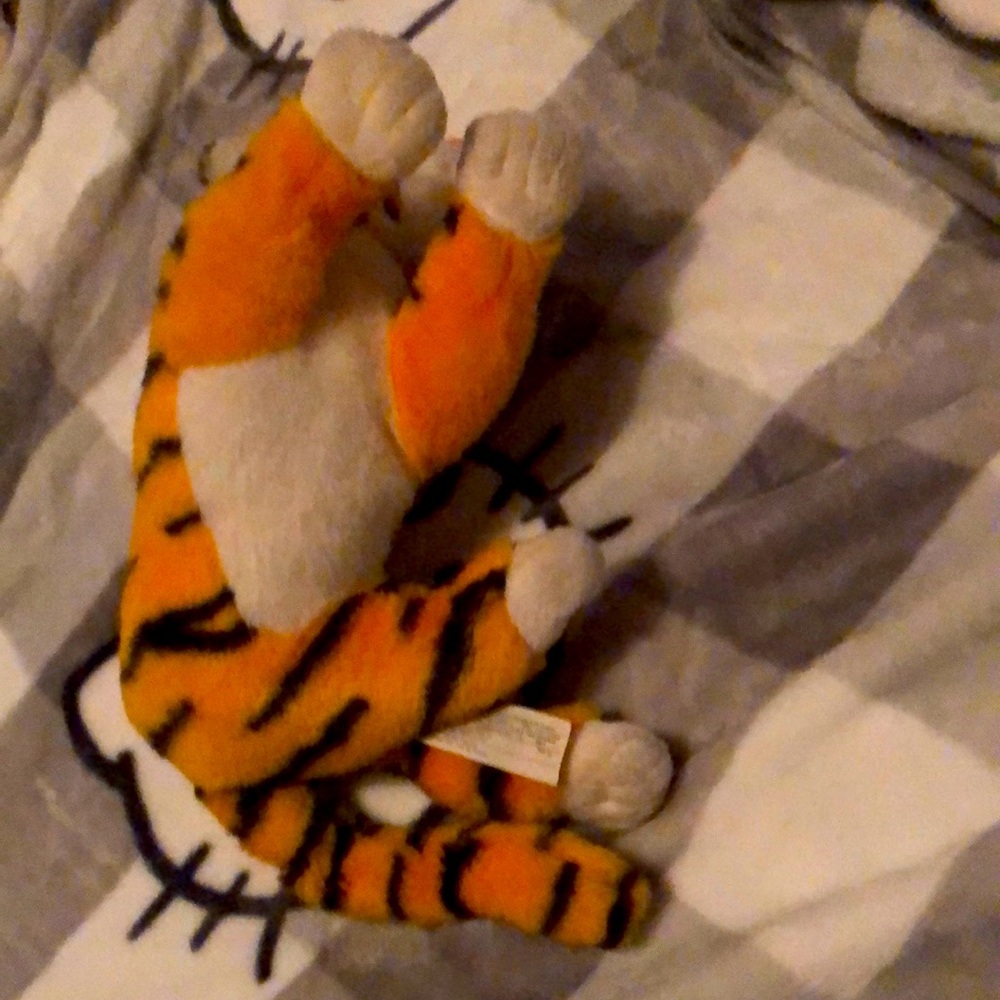 1992 Raj 🐅 from Aladdin - Picture 4 of 6